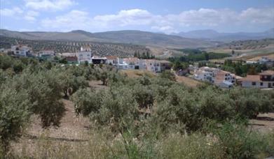 Santa Cruz del Comercio