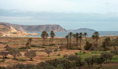 Posada Rural El Ajillo