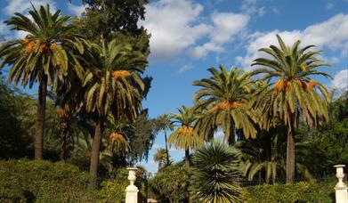 Jardines de Murillo