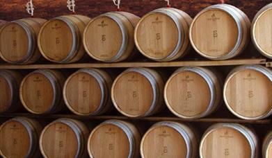 Bodega F. Schatz