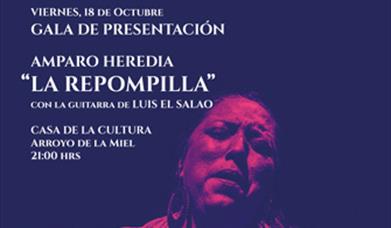 Semana Flamenca de Benalmádena