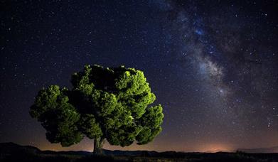 observación astronómica