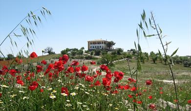 Casa Rural El Geco Verde