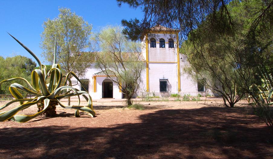 La Rocina