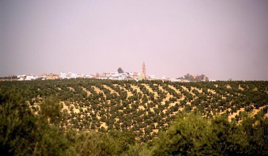 Bujalance