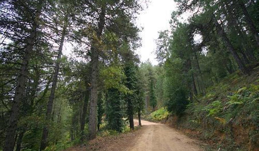 Camping Garrote Gordo