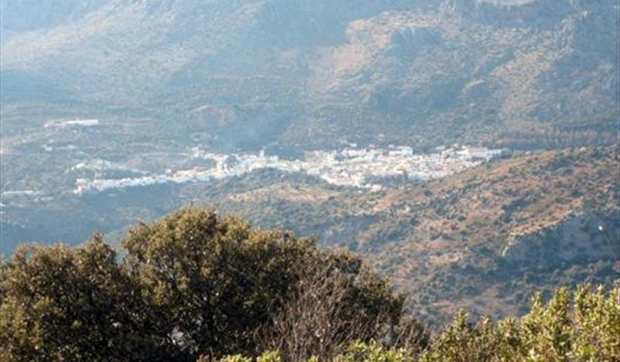 Benaoján