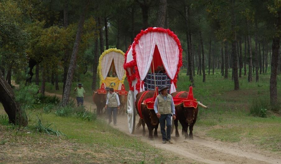 Viturevent Doñana