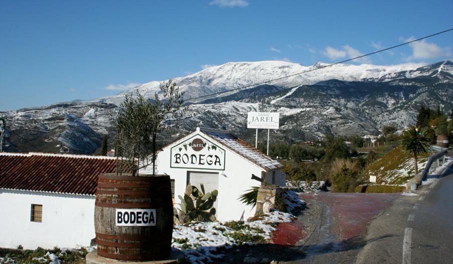 Bodegas Almijara