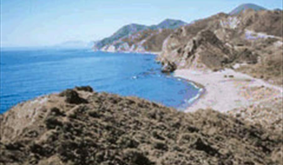 Bordenares