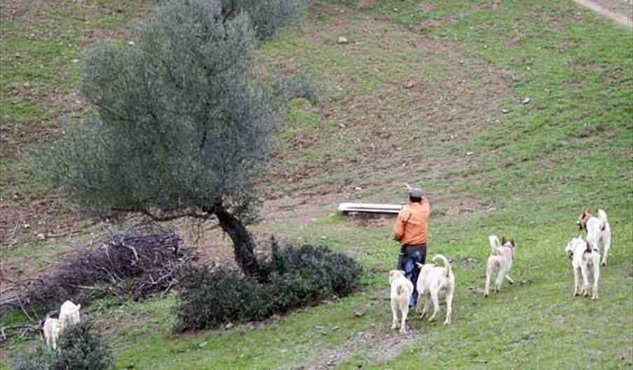 Cortijo de Campo