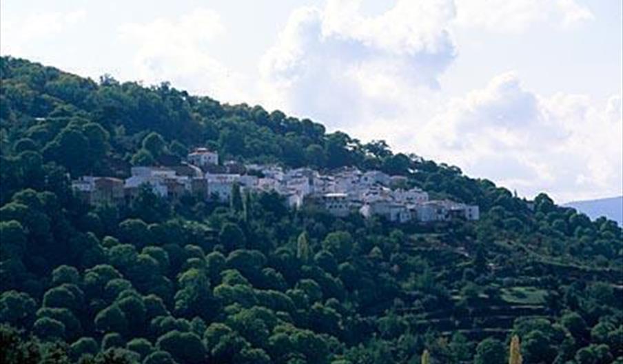Pujerra