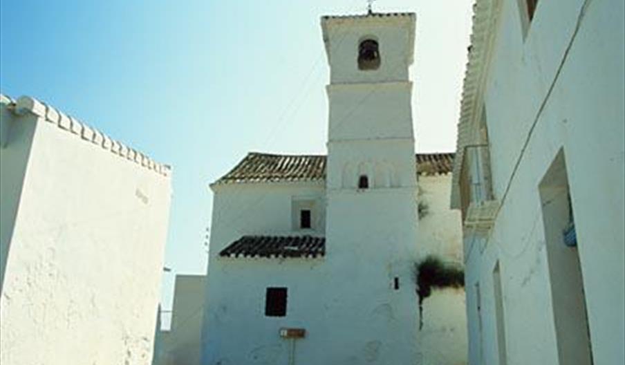 Arenas