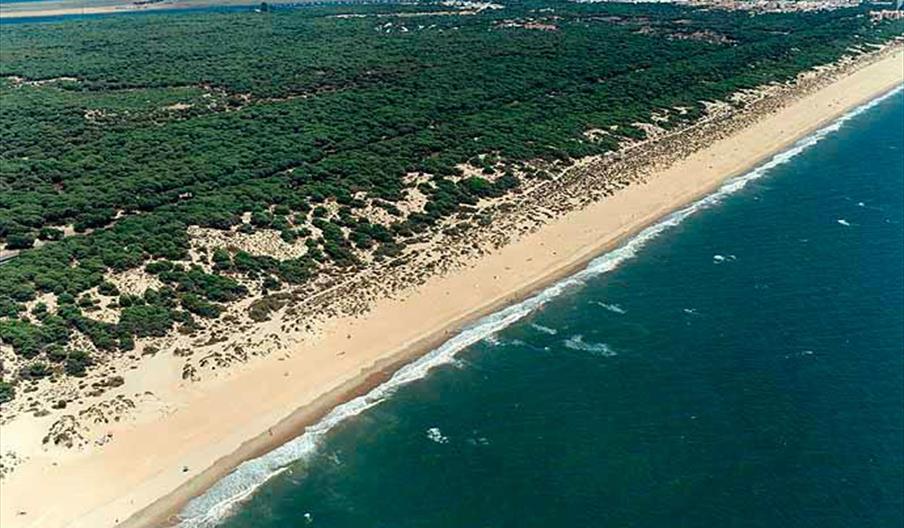 La Mata Negra / Los Enebrales