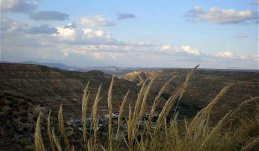 Belerda