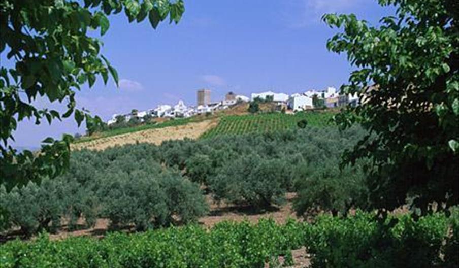 Monturque