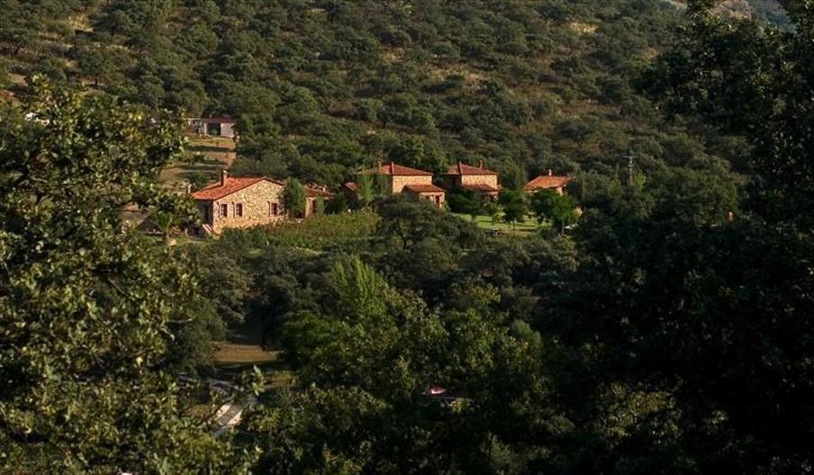 Casa Rural Molino Río Alájar - La Tortuga
