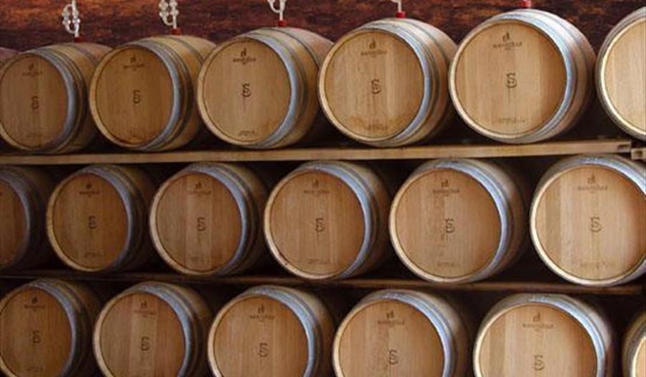 Bodega F. Schatz
