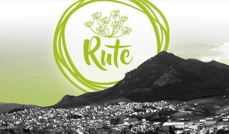 Rute