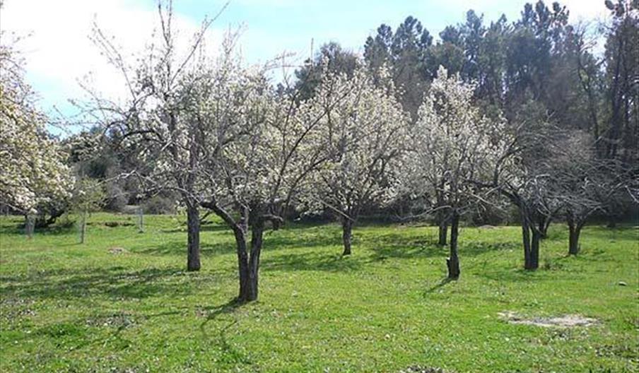 Casa Luis