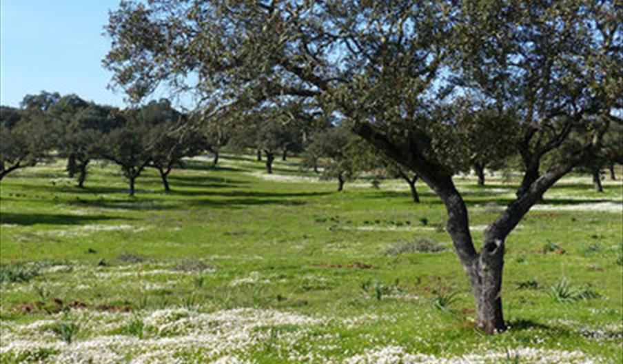 Guide des itinéraires du Bas Guadiana