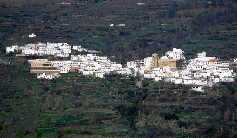 Bayárcal