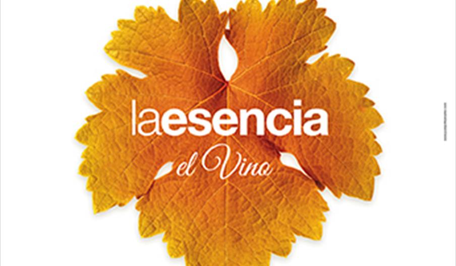 Cata del Vino de Moriles