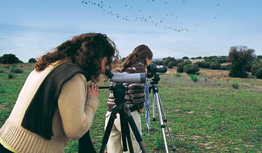 Tourisme Ornithologique