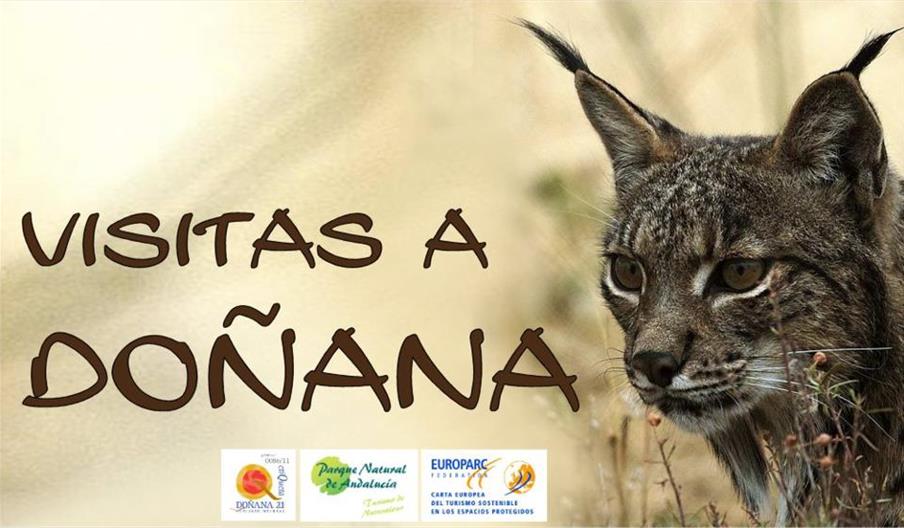 Doñana Reservas y Visitas