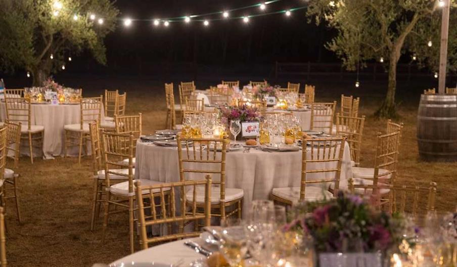 Catering El Perro Verde