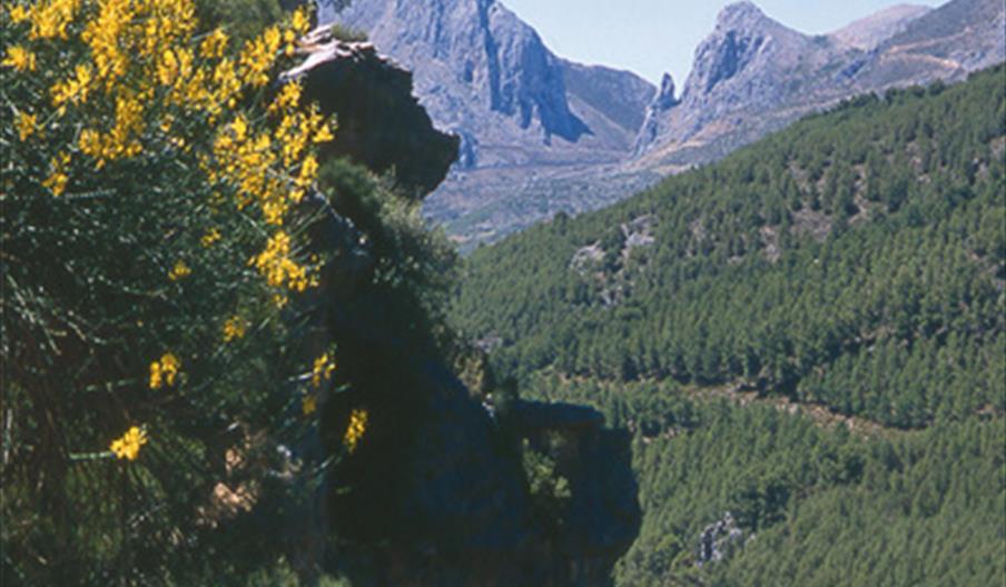 L'Axarquía
