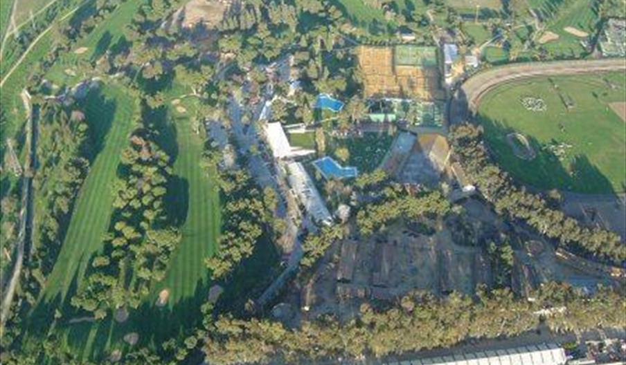 Real Club de Pineda de Sevilla