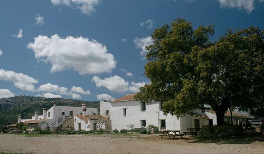 Algaba de Ronda