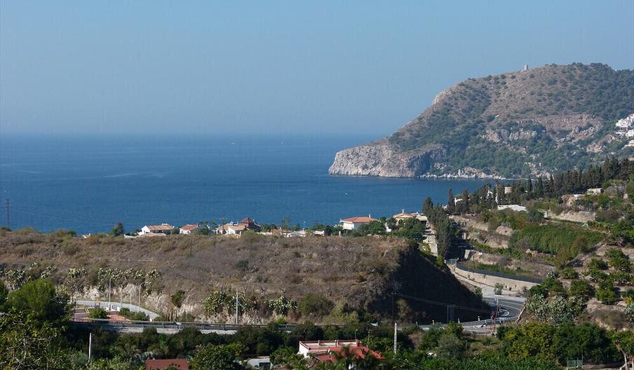 Finca San Ramón