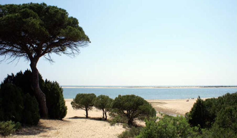 Caño de la Culata