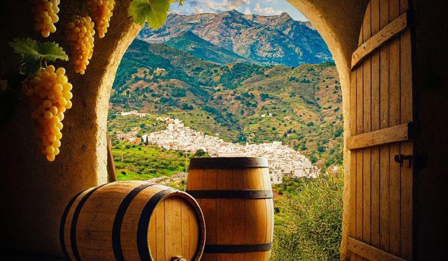 Cata de Vinos de Tolox