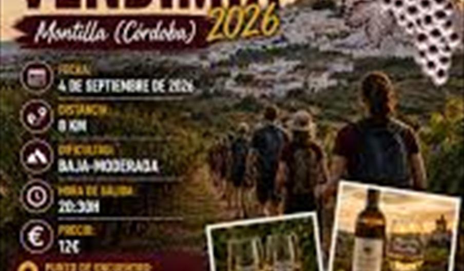 La fête des vendanges de Montilla