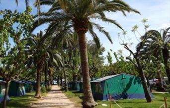 Camping Sierra Brava