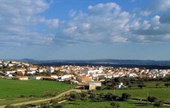 El Gallego