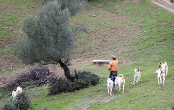 Cortijo de Campo