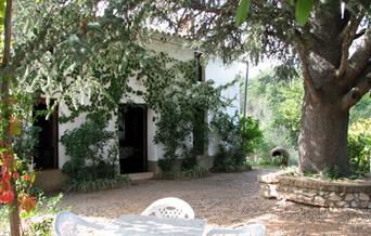 Vivienda Rural Casa del Cedro