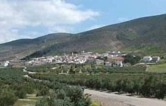 Sur-Al-Arbi-Á