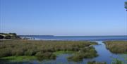 Doñana
