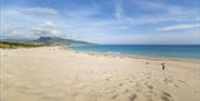 Bolonia