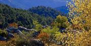 Sierras de Cazorla, Segura y las Villas