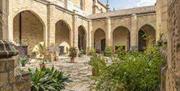claustro