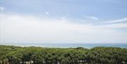 Pinar, Playa Central, Isla Cristina, Huelva