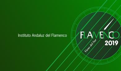 Ciclo Flamenco Viene del Sur 2019. Didáctico